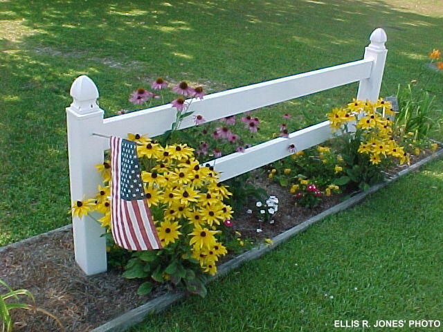 THIS PHOTO TAKEN EARLY MORNING
JULY 9, 2007 = NEWPORT, N. C.